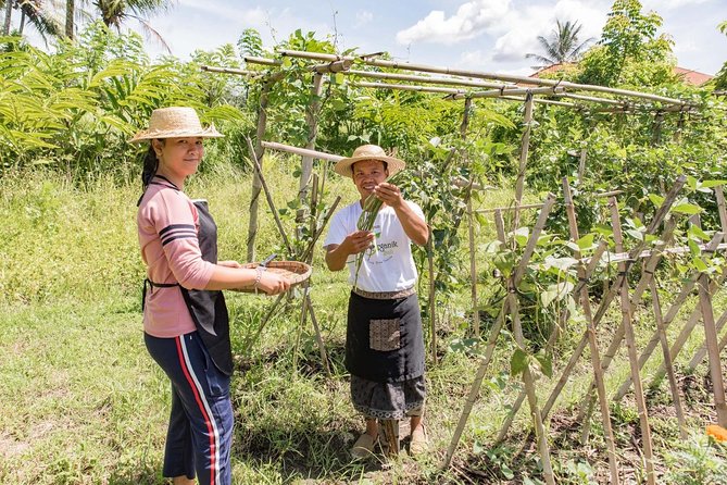 Small-Group Farm Tour & Balinese Cooking Class in Ubud with Kadek - Ubud Pickup, Straw Hats, and a Simple 5-Hour Plan