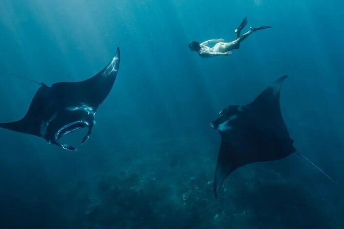 Snorkeling 4 Spots, Manta Rays, Tembeling Pool & Kelingking Beach - Key things to know before you go