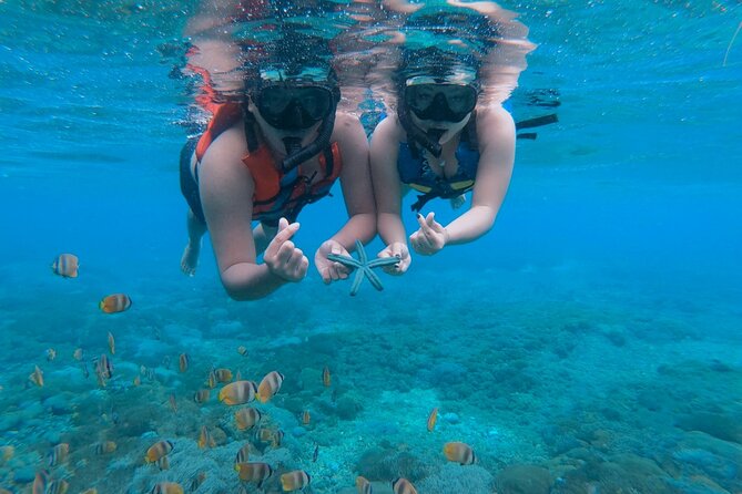 Snorkeling 4 Spots, Manta Rays, Tembeling Pool & Kelingking Beach - How the Ubud-to-Nusa Penida day trip works (pickup, boat, timing)
