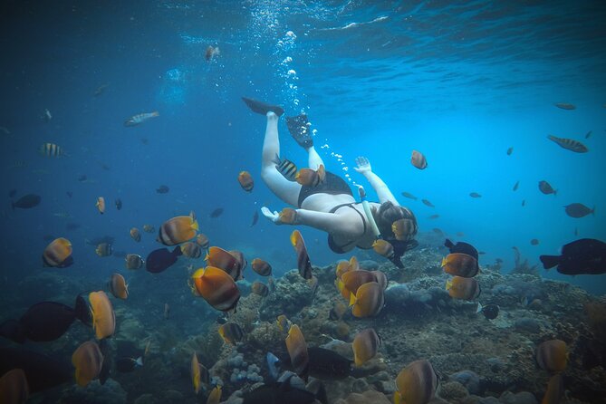 Snorkeling 4 Spots, Manta Rays, Tembeling Pool & Kelingking Beach - Tembeling Pool and Forest: the infinity-pool feel plus the motorbike shortcut