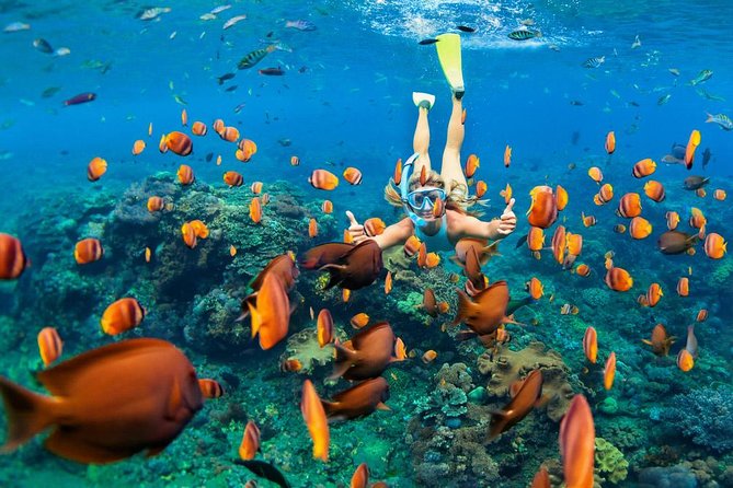 Snorkeling at Blue Lagoon Bali with Lunch and Transport - Key things to know before you go