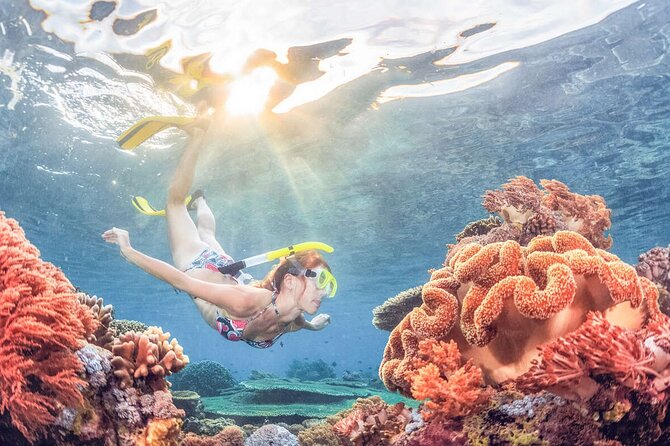 Snorkeling at Blue Lagoon Bali with Lunch and Transport - Blue Lagoon near Padangbai: why this spot is so popular