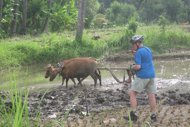 Snorkeling & Trekking at West Bali National Park - Snorkeling Tips That Will Save Your Enjoyment