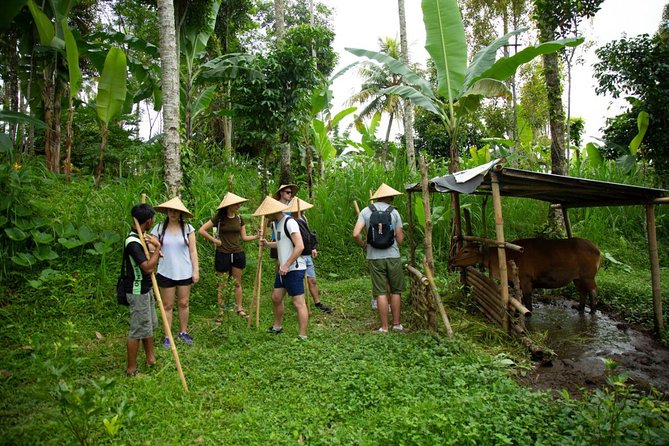 Spiritual Journey with private purification ceremony, local priest - Ubud - Meeting the local priest/healer after the ritual