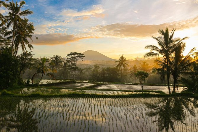 Spiritual Journey with private purification ceremony, local priest - Ubud - Returning toward Ubud: temples, secret spots, and a calmer pace