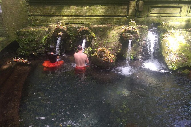 Spiritual Journey with private purification ceremony, local priest - Ubud - What $120 gets you (and why it feels fair)