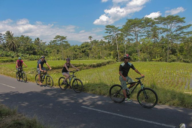 Spiritual Journey with private purification ceremony, local priest - Ubud - Who should book this spiritual purification + cycling day