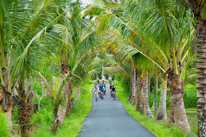 Spiritual Journey with private purification ceremony, local priest - Ubud - Morning logistics: start at 7:30 and settle in quickly