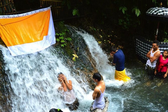 Spiritual Purification and Local Healer Visit Tour (ALL INCLUDED) - A $46 reset in Ubud: what you’re really paying for