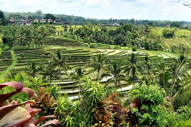 Tanah Lot and Jatiluwih Unesco Rice Terrace Private Tour - Luhur Batukaru Temple: the quieter temple stop that breaks up the day