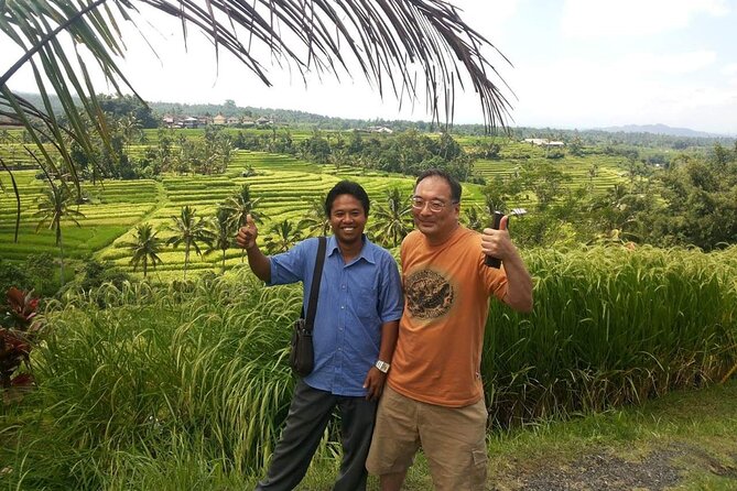 Tanah Lot and Jatiluwih Unesco Rice Terrace Private Tour - Price and value: what $65 buys you for a full 8–10 hour circuit