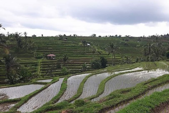 Tanah Lot and North Bali Private Tour - All inclusive - Leke Leke Waterfall: a shorter outing with big payoff