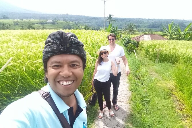 Tanah Lot and North Bali Private Tour - All inclusive - Who should book this tour (and who might want something else)
