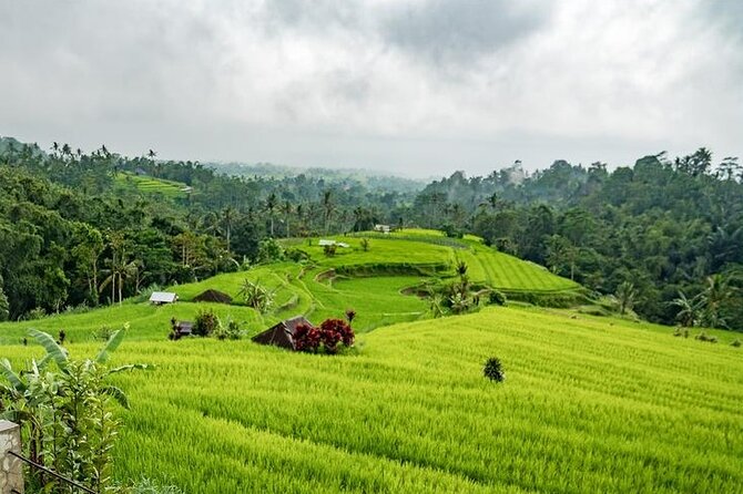 Tanah Lot and North Bali Tour: Scenic Journey - Banyumala Twin Waterfalls: the best part, and the part to prepare for