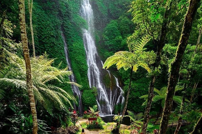 Tanah Lot and North Bali Tour: Scenic Journey - Jatiluwih rice terraces: lunch with UNESCO-level views