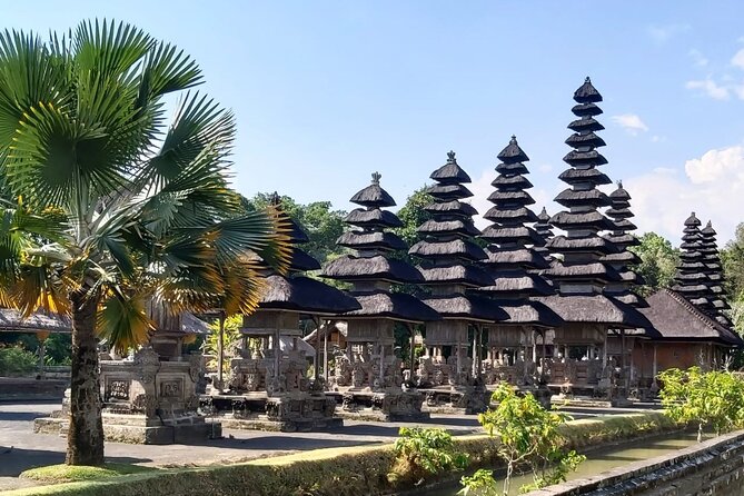 Tanah Lot And Ubud - Full Day Private Tour - Who this tour suits best (and who should look elsewhere)