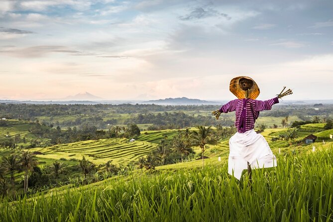 Tanah Lot, Jatiluwih Rice Terrace and Waterfall Day Tour - Private transportation and the 1-hour rhythm