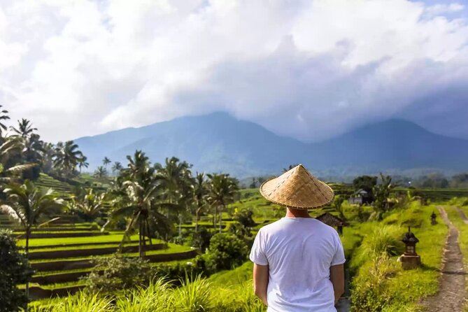 Tanah Lot, Jatiluwih Rice Terrace and Waterfall Day Tour - Price and value: what you’re really paying for