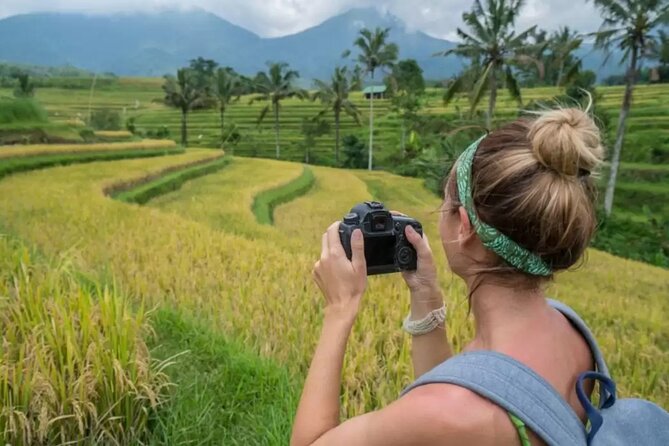 Tanah Lot, Jatiluwih Rice Terrace and Waterfall Day Tour - Who this tour fits best