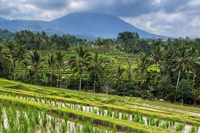 Tanah Lot - Ulun Danu Beratan Temple - Scenic Countryside Tour - Banyumala Twin Waterfalls: Jungle Nature Without a 6-Hour Hike