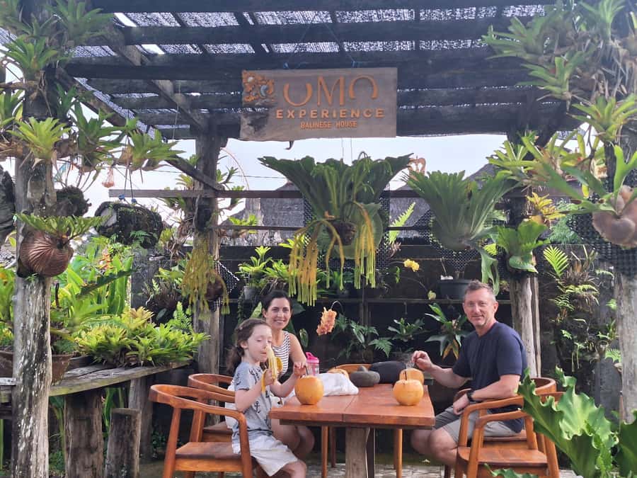 The Authentic Balinese Cooking Experience - Walking through daily life on the way to the kitchen