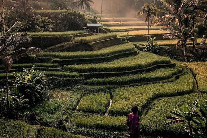 The Gates of Heavan - Ubud Jungle Swing & Waterfall Tour - How the guide makes or breaks the day