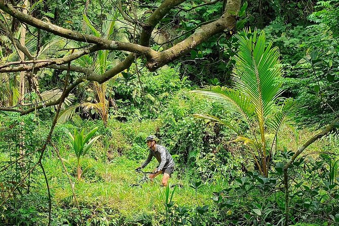 The Volcano Trail – Epic Volcano Cycling Adventure - Price and value: $80 for a long, guided descent day