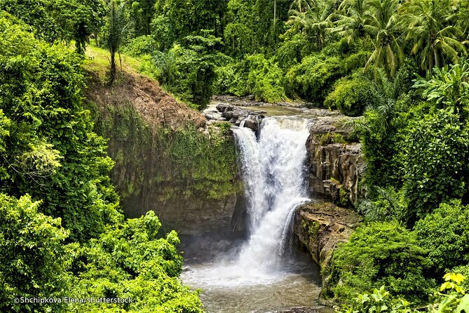 Three Main spot Bali Waterfall with Swing - Ubud Jungle Swing: Thrills Optional, Cost Not Included