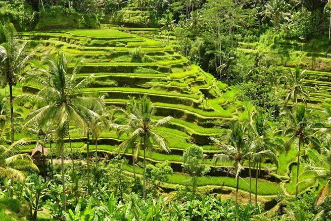 Tickets inclusive: Blessing Bali Tour - Entering the day: what you’re really buying for $45