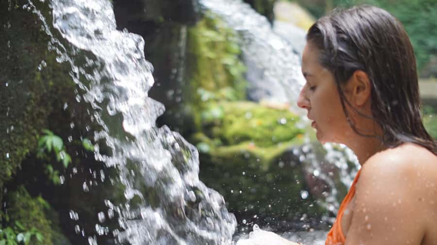 Tirta Empul Holy Water & Palm Reading – Private Tour - Private transport and temple donations: value isn’t just the ticket