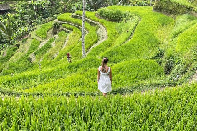 Tirta Empul temple, Jungle Swing and Waterfalls - Private Tour - How this 10-hour private tour in Ubud really works