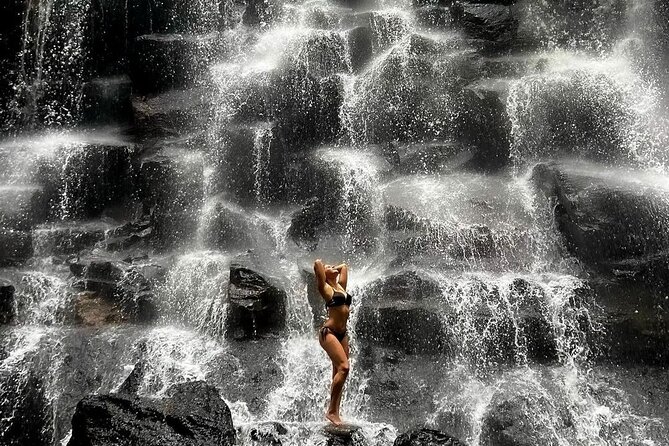 Tirta Empul temple, Jungle Swing and Waterfalls - Private Tour - Guides, drivers, and why private really matters
