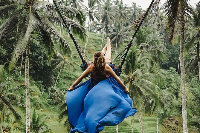 Tirta Empul temple, Jungle Swing and Waterfalls - Private Tour - Tegalalang Rice Terrace: the classic Bali view with real structure
