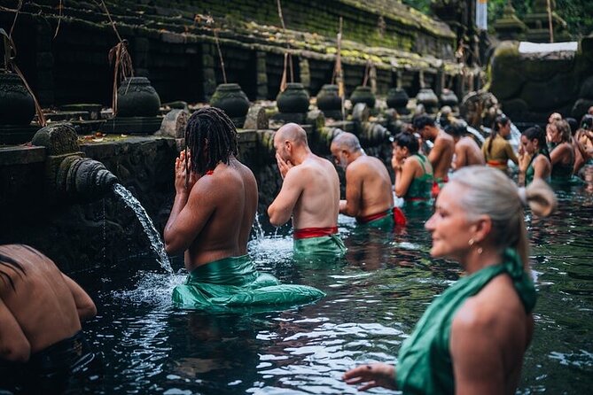 Top Ubud Attractions: Private Full-Day Guided Tour - Key Highlights You’ll Actually Feel