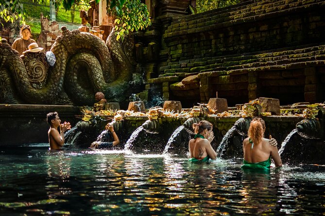 Top Ubud Attractions: Private Full-Day Guided Tour - Sacred Monkey Forest Sanctuary: Watching Long-Tailed Macaques in Their Space