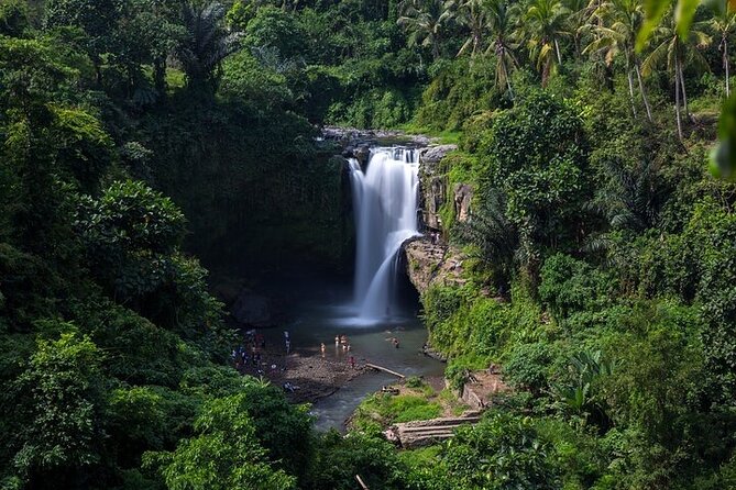 Top Ubud Attractions: Private Full-Day Guided Tour - Tirta Empul Temple: Sacred Springs and Purification Rituals