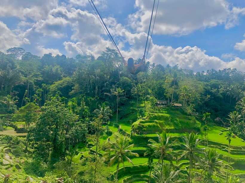Tour full day ubud, water fall,coffe atv,and rice paddy - Coffee plantation in the middle of the day: quick culture, good contrast