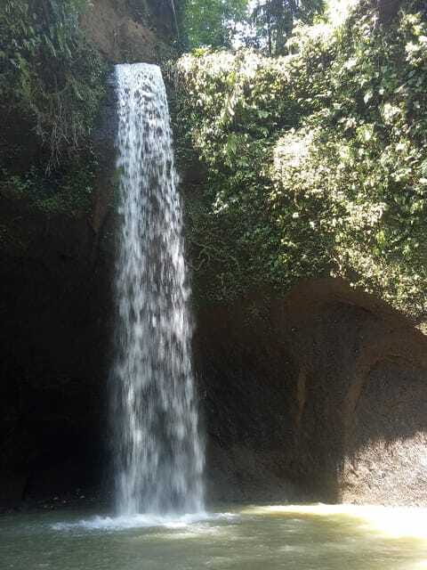 Tour the island of Bali with expert tour guides in Spanish. - Kehen Temple in Bangli: the massive ficus and a rare calm