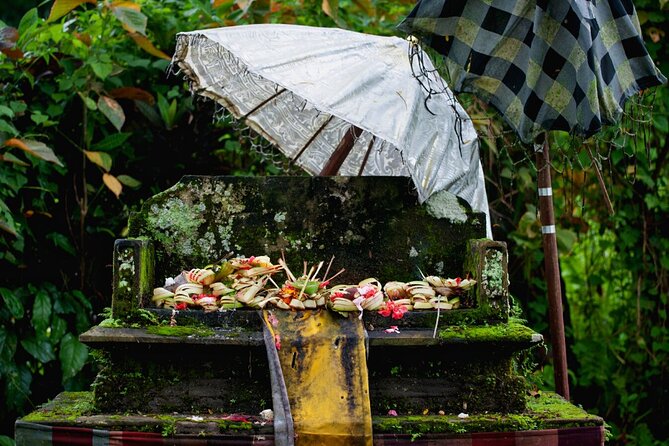 Transformative Journey of Holistic Self-Discovery - North Ubud Spiritual Day: A Worthwhile Mix of Ritual and Real Life
