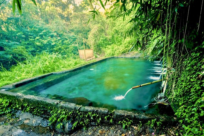 Trekking and Sightseeing tour with lunch - Coffee plantation zone and the terrace swing