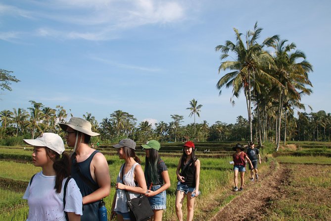 Trekking and Sightseeing tour with lunch - How fit do you need to be for the 4-hour hike?