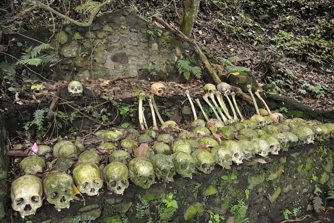 Trunyan Cemetery, Hot Spring, Penglipuran Village, and Waterfall Tour - Stop 1: Trunyan Cemetery and the Taru Menyan Death Ritual