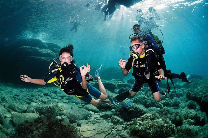 Tulamben Diving Tour Shipwreck USS Bali - Two 35-minute shore sessions: what to expect underwater