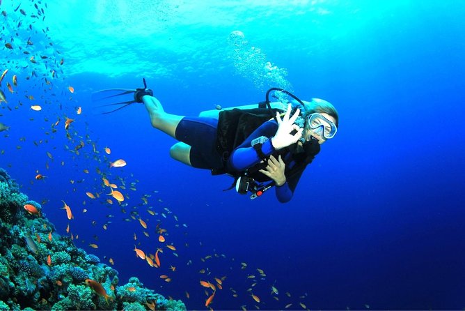 Tulamben Diving Tour Shipwreck USS Bali - The Balinese lunch break: fueling between sessions without losing the flow