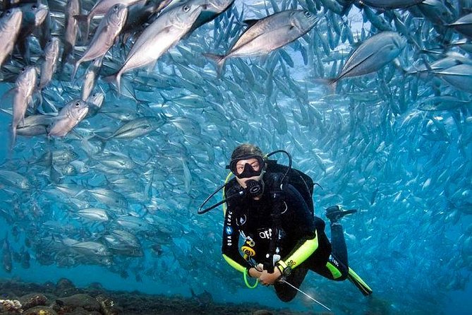 Tulamben Diving Tour Shipwreck USS Bali - Price and value: is $102.57 a fair deal?