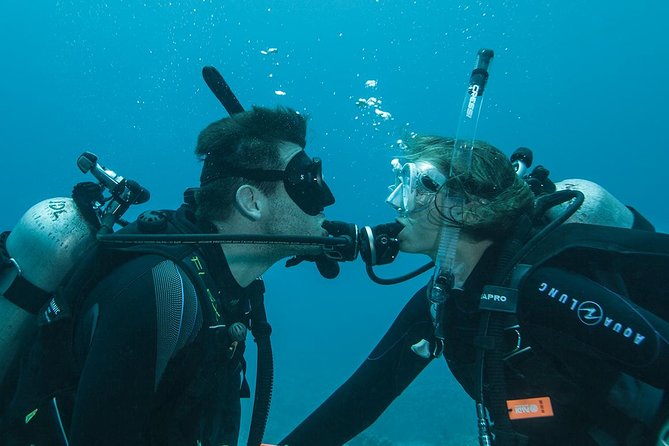 Tulamben Diving Tour Shipwreck USS Bali - Who should book this USS Liberty Tulamben tour (and who should skip it)