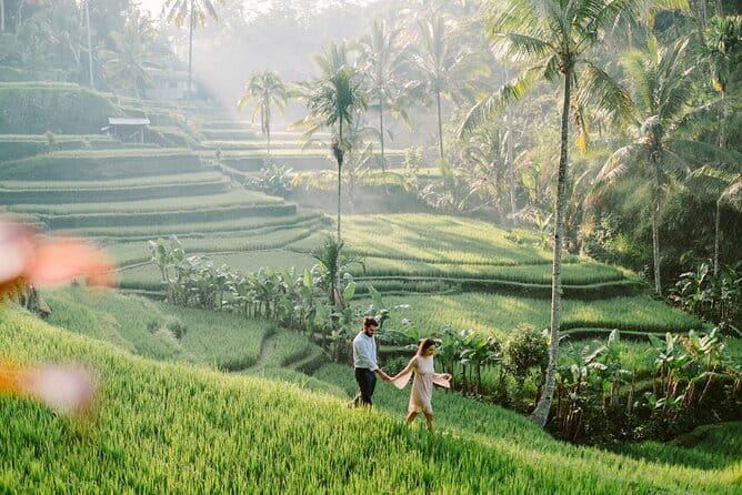 Ubud 1 Day Tour (Private & All-Inclusive) - Ditching Ticket Stress: Price and What Makes It Good Value