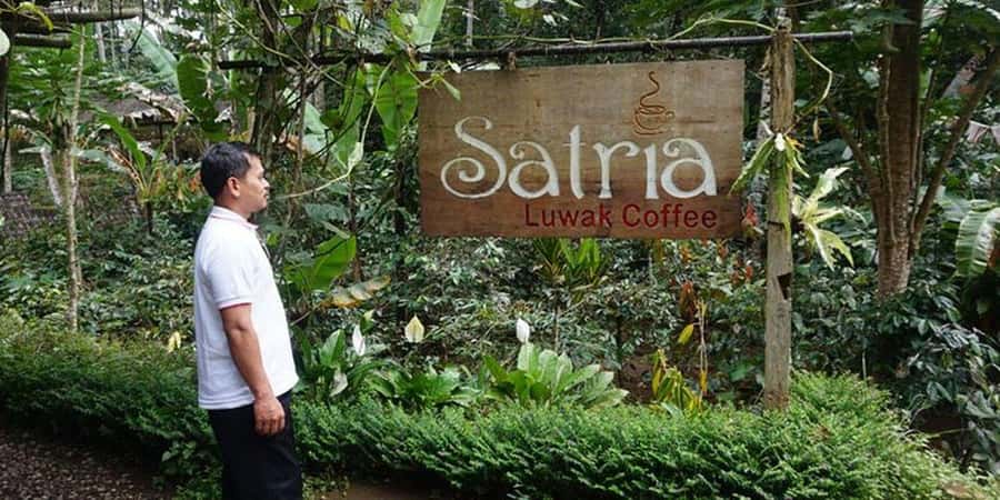 Ubud 3-in-1: Swing, Zipline & SkyBike Adventure - Satria Agrowisata: the shopping-and-break reset
