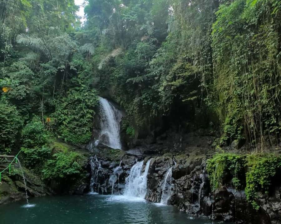 Ubud: 3 Spectacular Waterfalls In Ubud With Transfer - Key things to know before you go