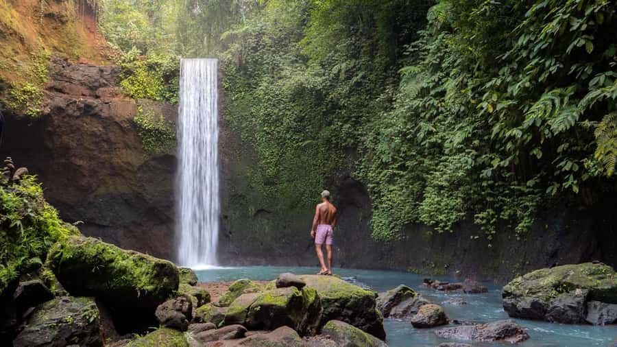 Ubud: 3 Spectacular Waterfalls In Ubud With Transfer - Price and Value: What $55 Covers (and What It Doesn’t)